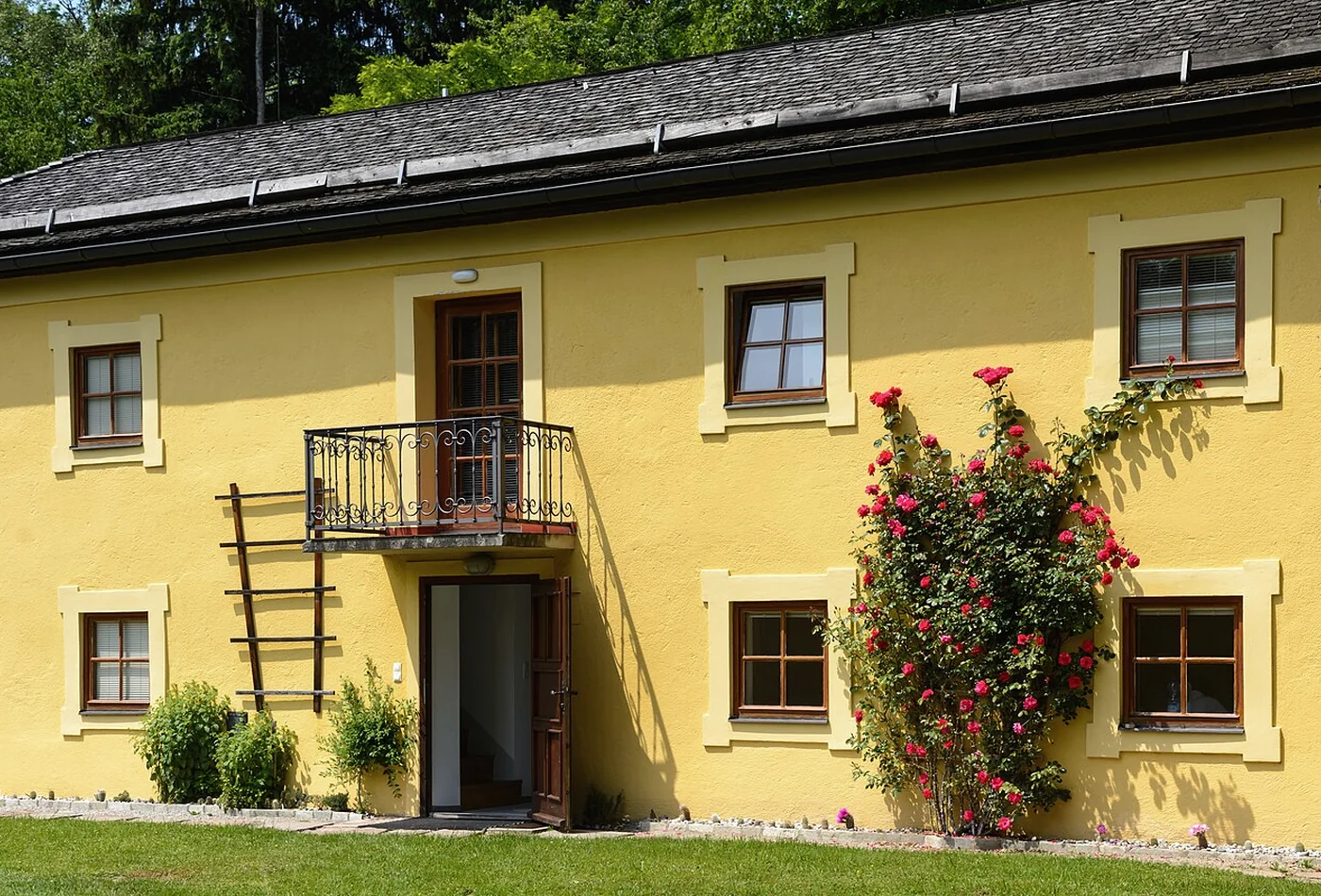 Helles Salzburger Gebäude mit Balkon, Rosen und begrüntem Vorplatz